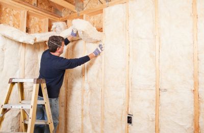 Batt Insulation Service detail